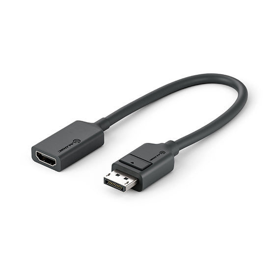 elements-series-displayport-to-hdmi-adapter-male-to-female-20cm_3